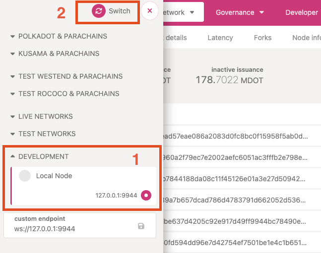 Switch to Development network